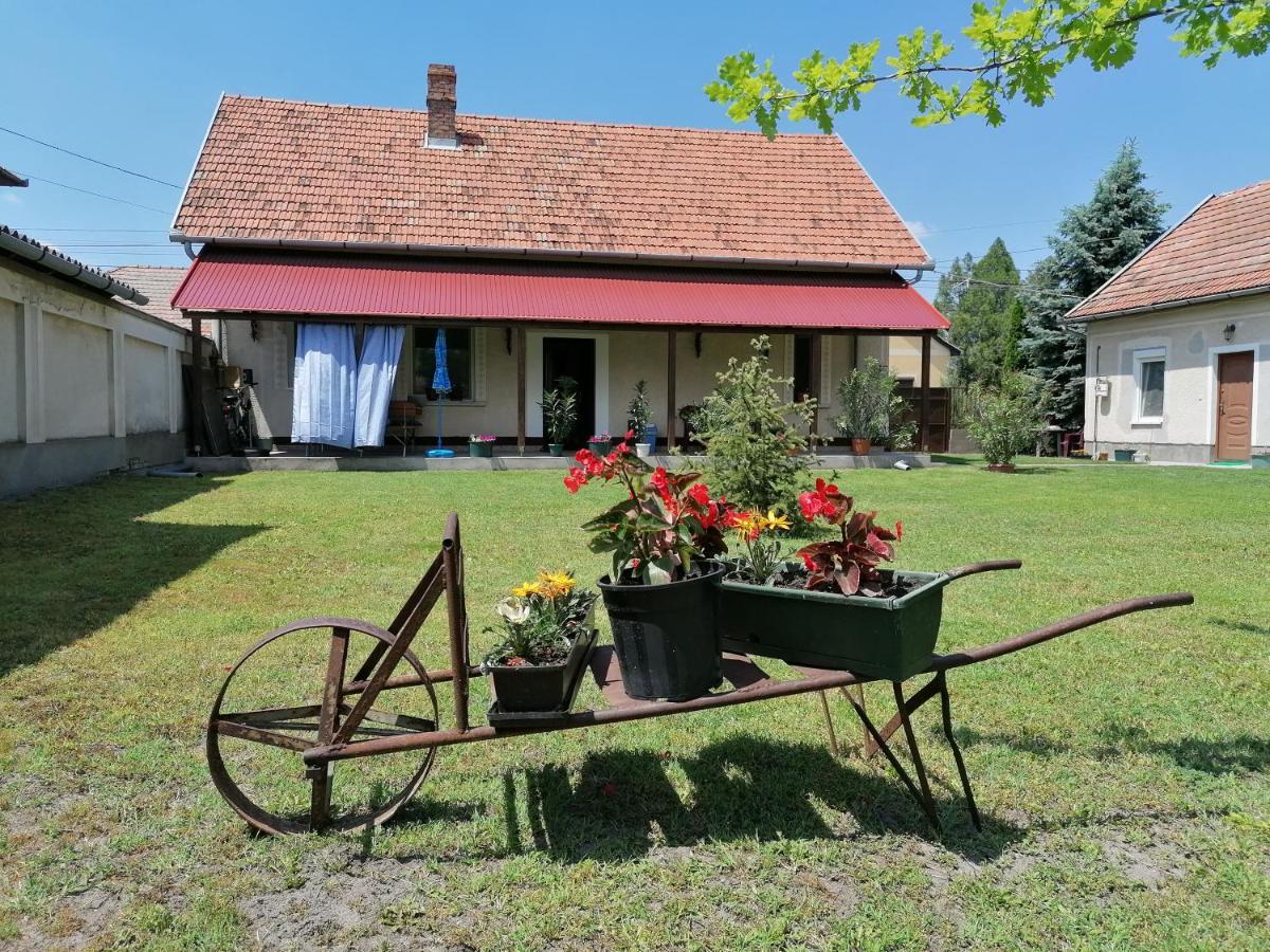 István Vendégház Mórahalom Exterior foto